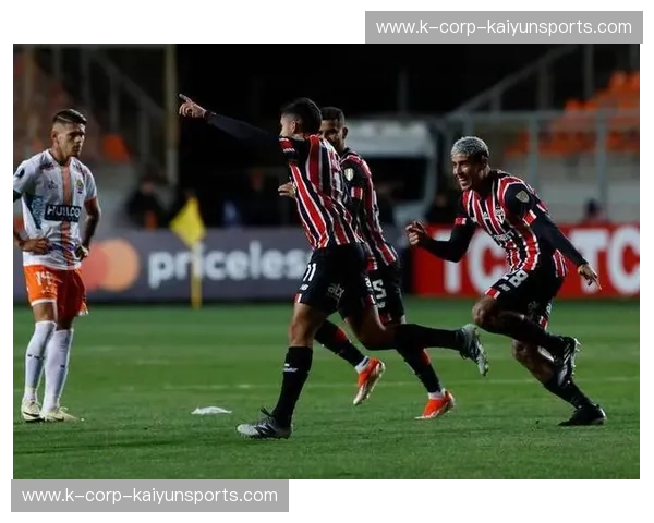 巅峰对决的灵魂战栗：厄瓜多尔vs巴西回放，一场关于信仰与热血的南美史诗